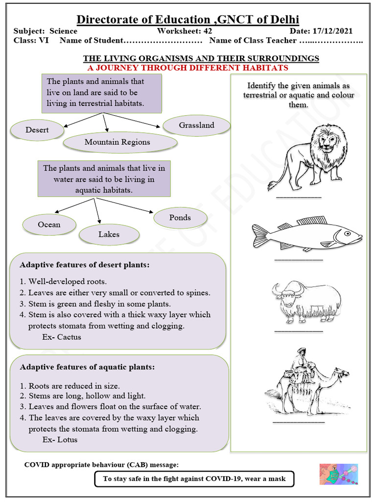 Worksheet 42 Dated 17122021 | PDF | Leaf | Habitat
