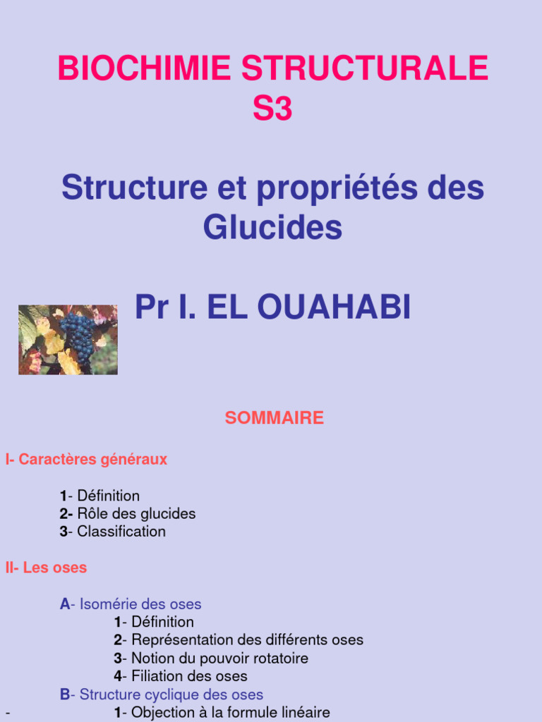 Structure et Rôle des Glucides | PDF | Glucose | Glucide
