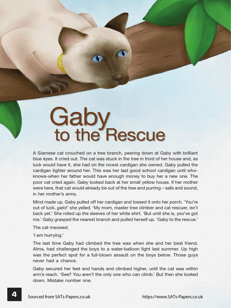 Ks2 English 2016 English Reading Booklet