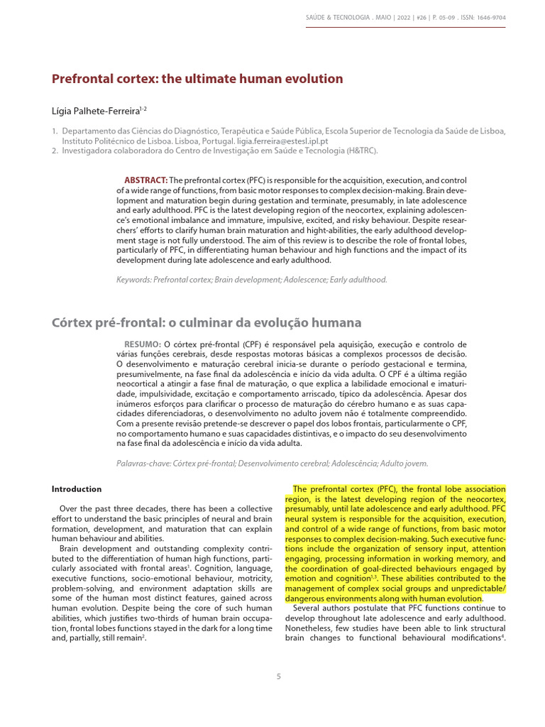 Prefrontal Cortex and Human Evolution | PDF | Prefrontal Cortex ...