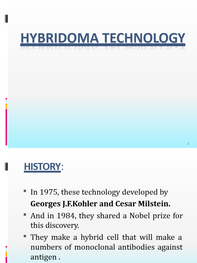 Overview of Hybridoma Technology | PDF | Monoclonal Antibody | Biology
