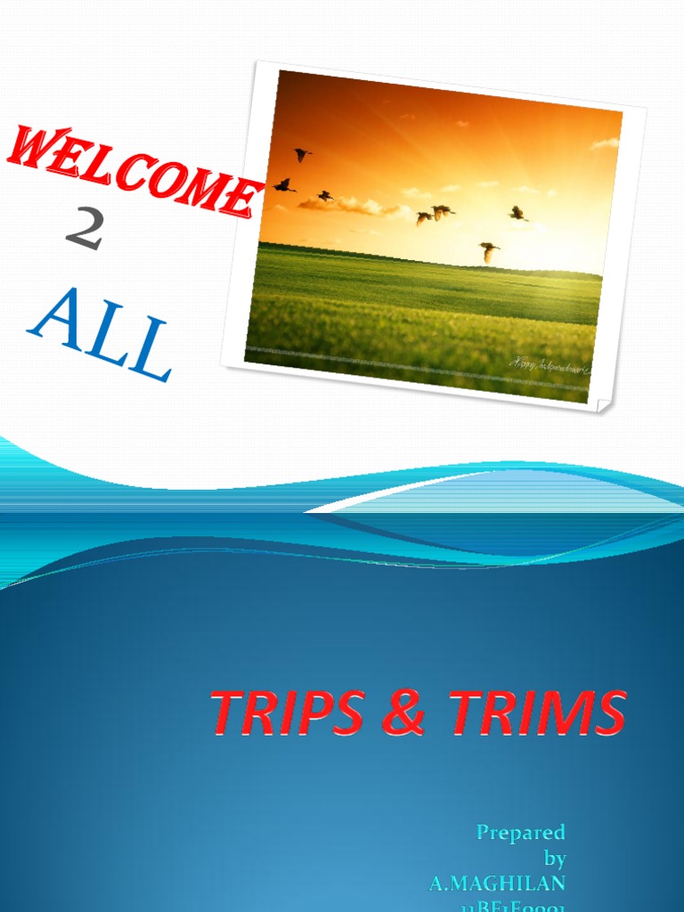 Trips & Trims Trips Agreement Intellectual Property