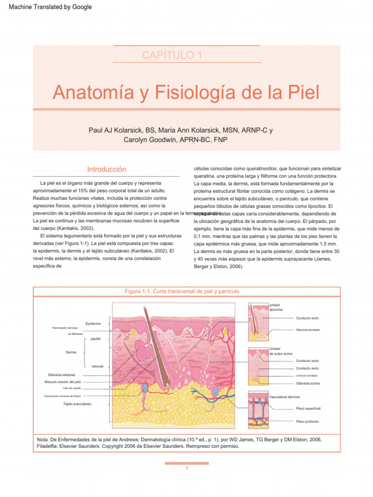 SKIN ANATOMY AND PHYSIOLOGY RESEARCH PAPER visual data 2