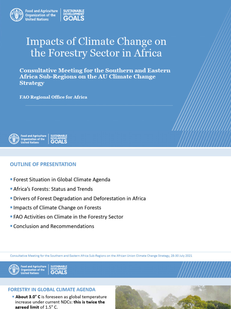 Africa's Forestry and Climate Change Impact | PDF | Climate Change ...