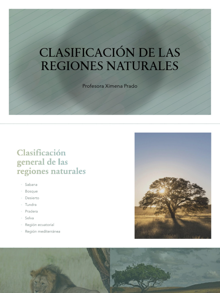 Clasificación de Regiones Naturales | PDF | Los bosques | Desierto