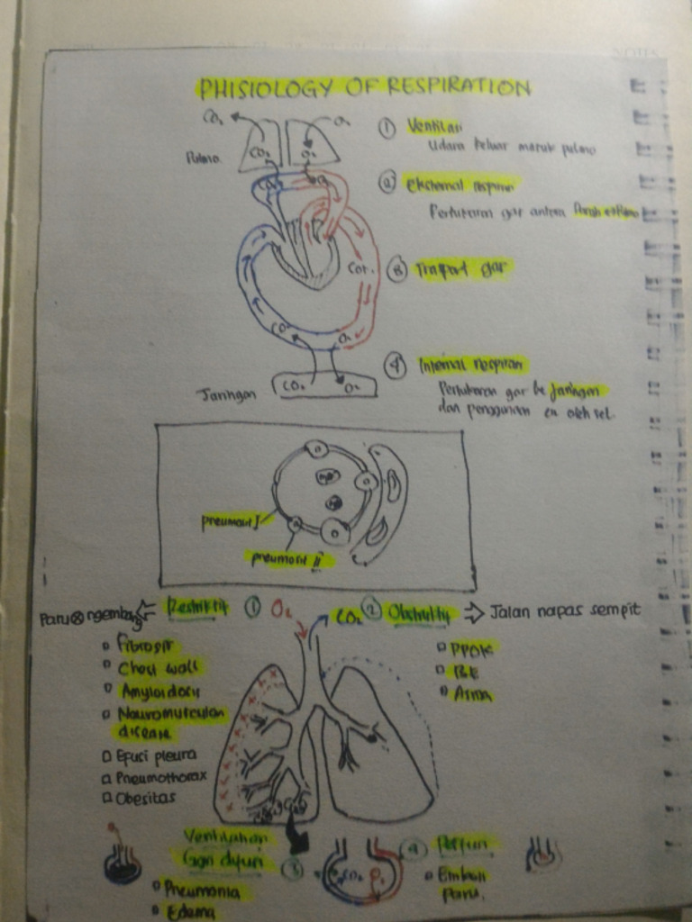 Paru 2 | PDF
