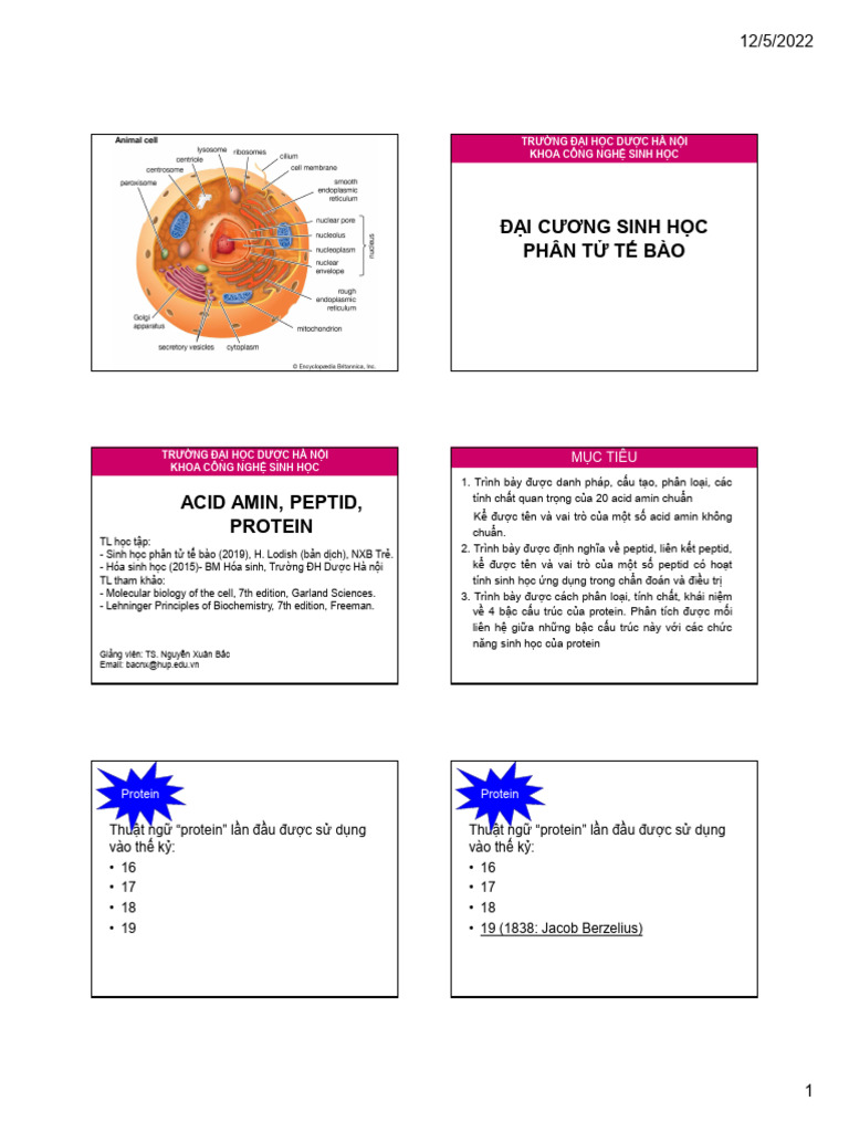 Protein 1 | PDF