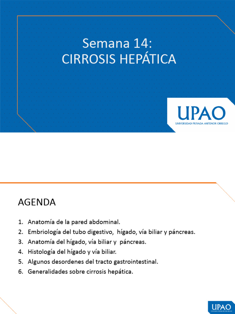 Semana 14-Cirrosis Hepatica | PDF | Hígado | Estómago