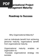 Opm3 Self Assessment Pdf To Word