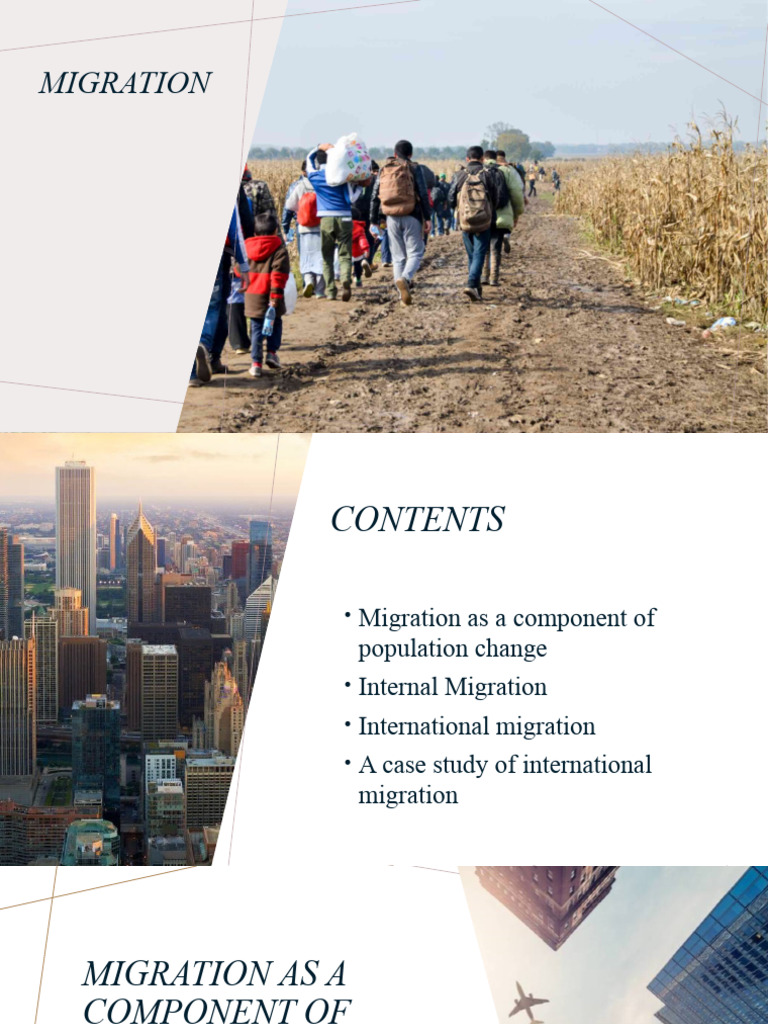 Migration Patterns & Theories | PDF | Human Migration | Immigration