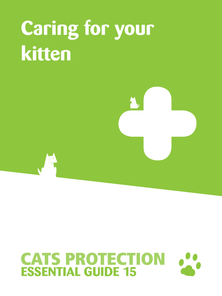 Essential Kitten Care Guide | PDF | Cats | Kitten