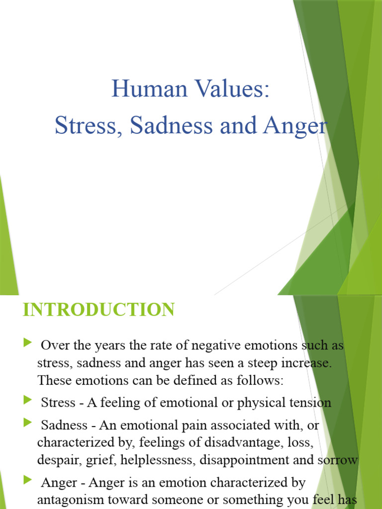 Negative Emotions | PDF | Emotions | Anger