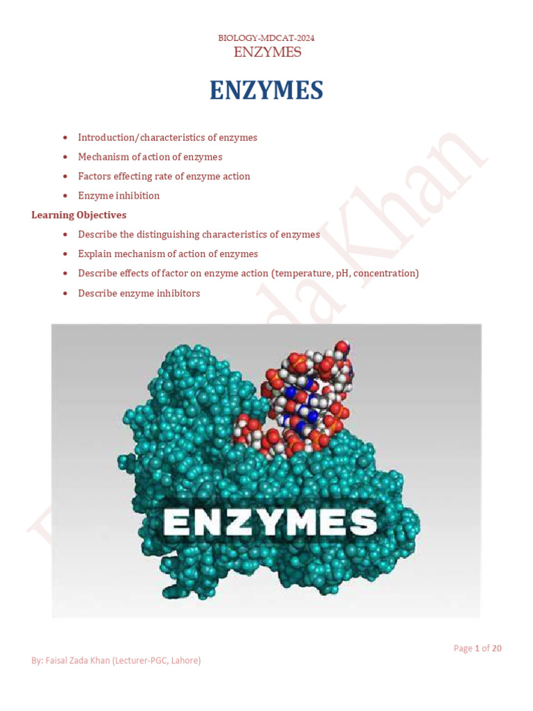 Enzymes Overview for MDCAT 2024 | PDF | Enzyme | Cofactor (Biochemistry)