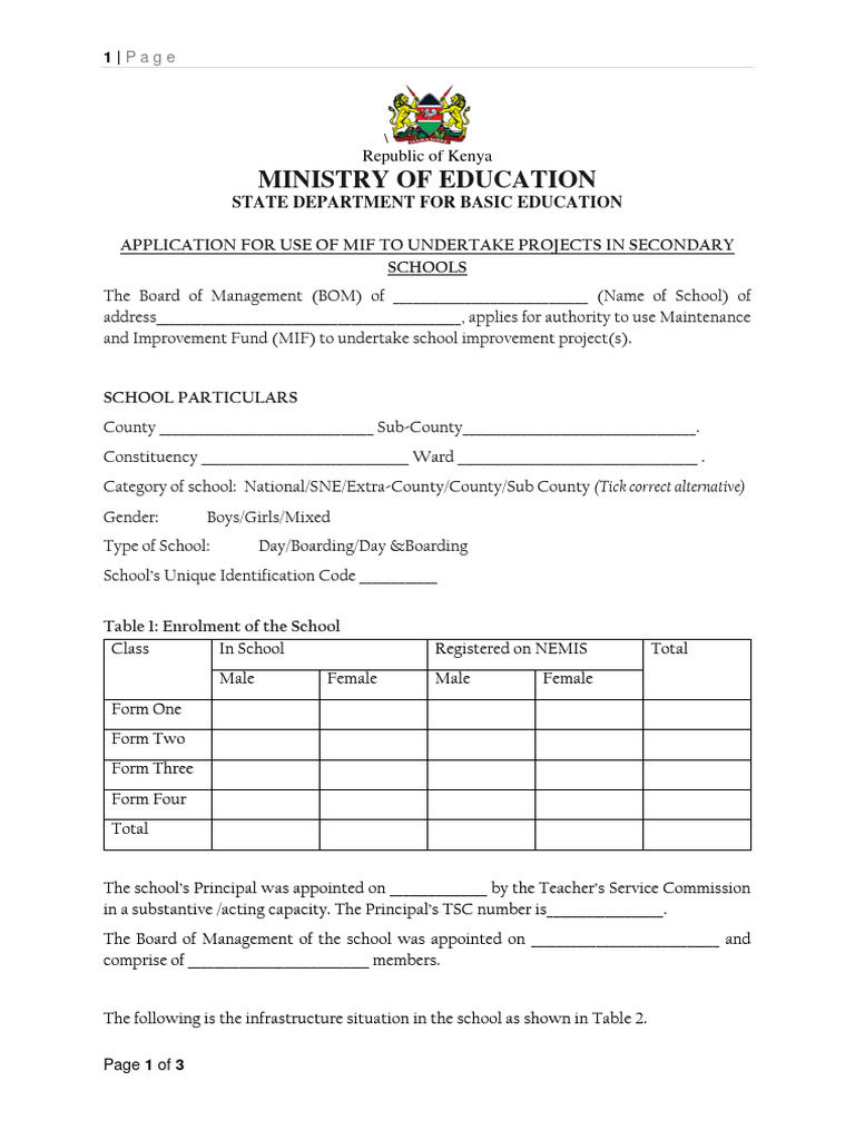 MIF Application for School Projects | PDF