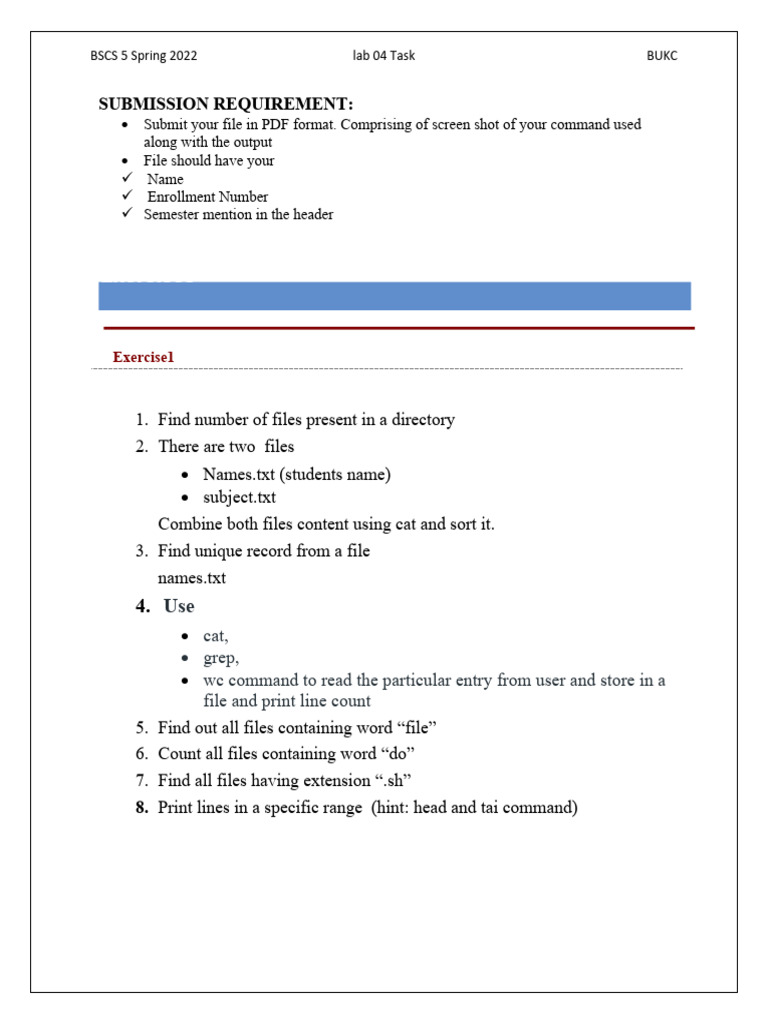 Linux Command Lab Tasks Spring 2022 | PDF