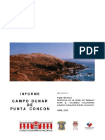 Iinforme Campo Dunar de Punta Concon