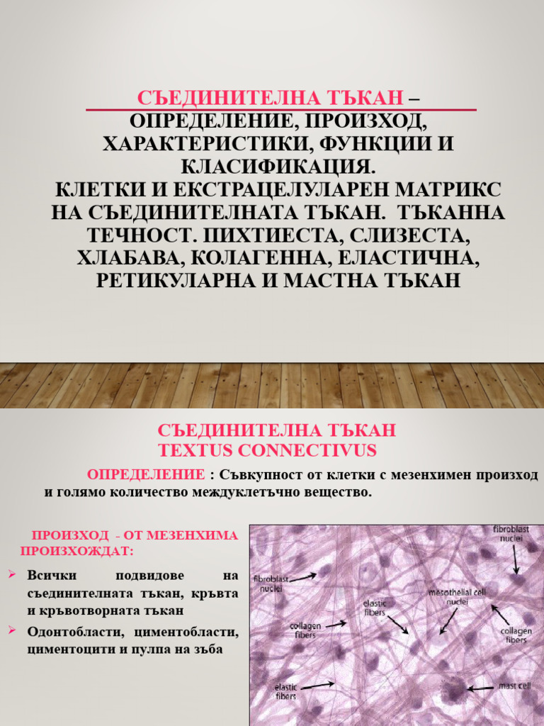 Съединителна тъкан | PDF