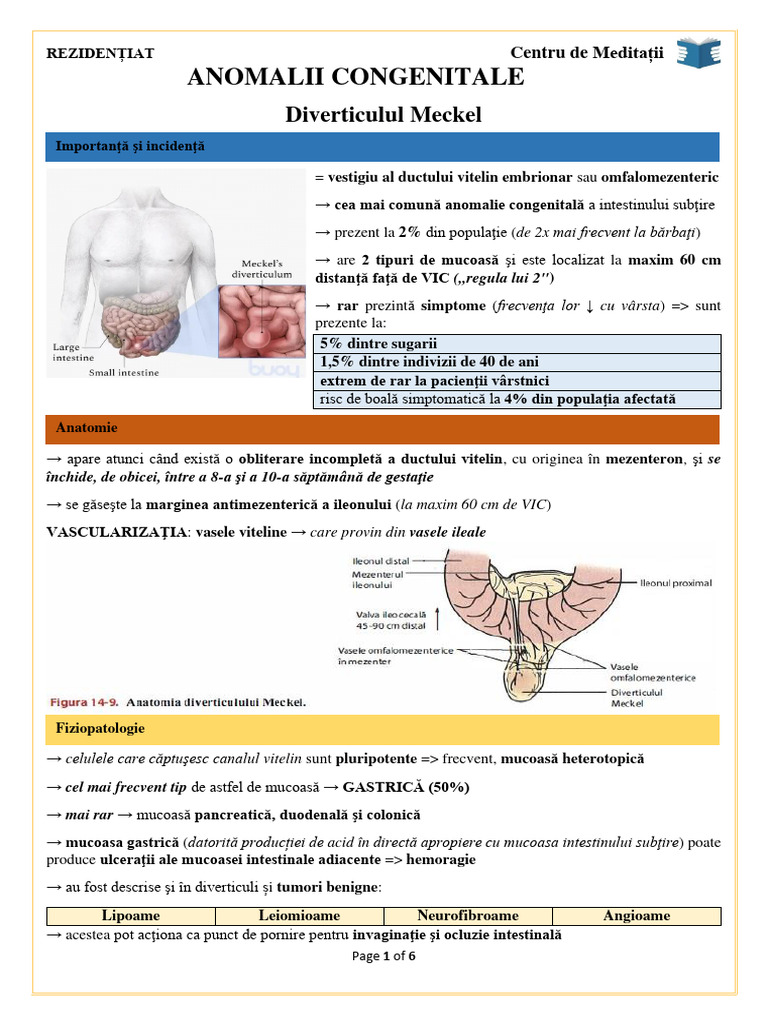 4 Anomalii Congenitale 240706 120208 | PDF