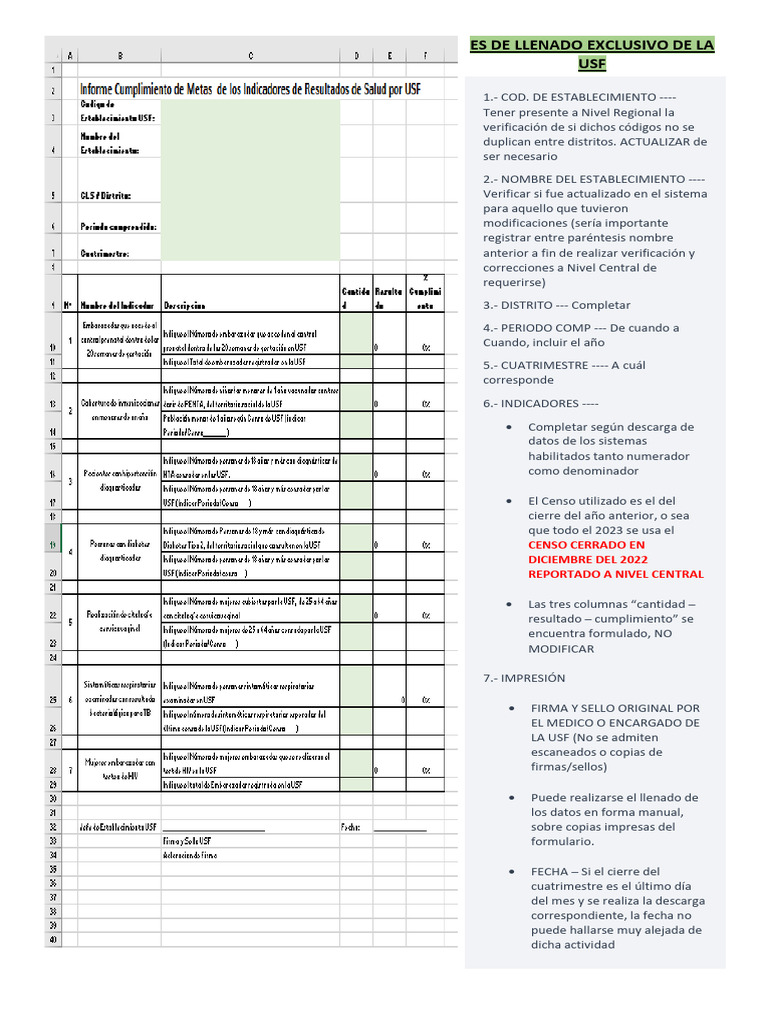 Instrucciones para Llenado de USF | PDF