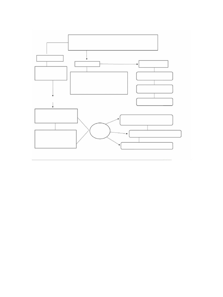 Mapa Conceptual | PDF