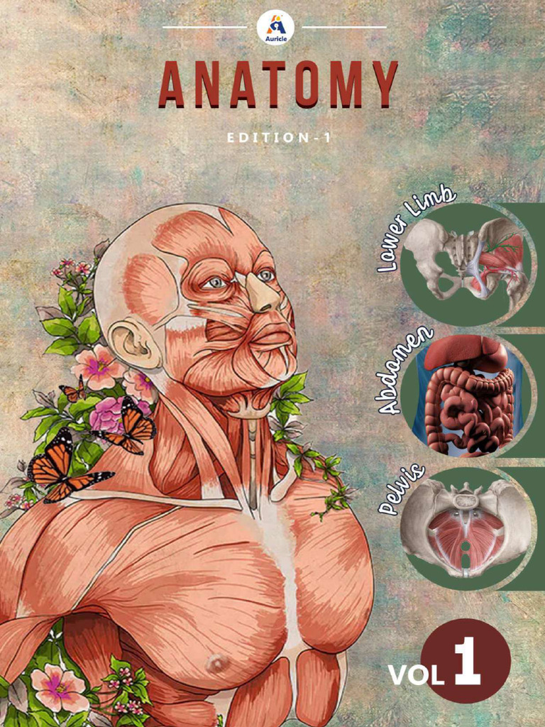 Anatomy | PDF