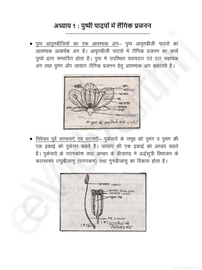 Class 12 Jeev Vigyan Chapter 1 Notes Pdf