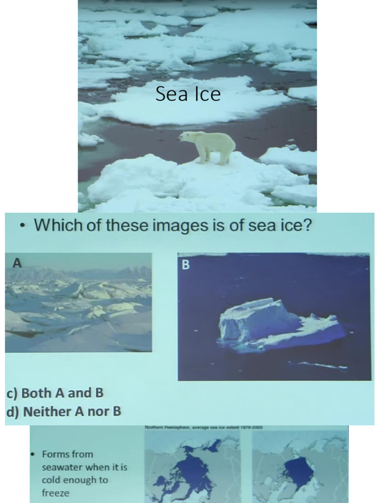 Understanding Sea Ice Dynamics and Impact | PDF | Sea Ice | Antarctica