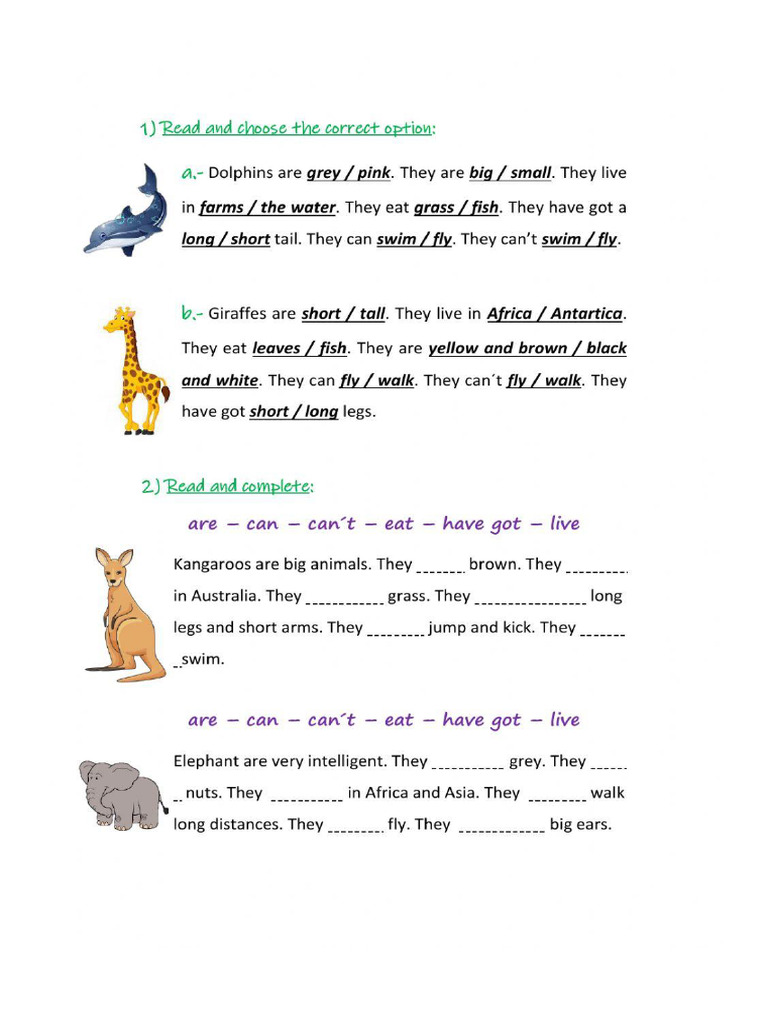 Animals | PDF