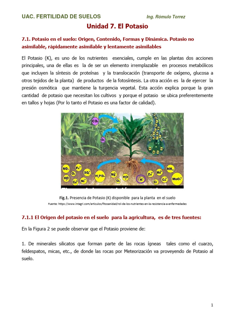 Importancia del Potasio en Suelos Agrícolas | PDF | Suelo | Potasio