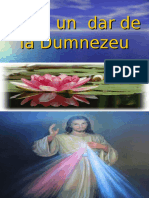 Viata Un Dar de La Dumnezeu