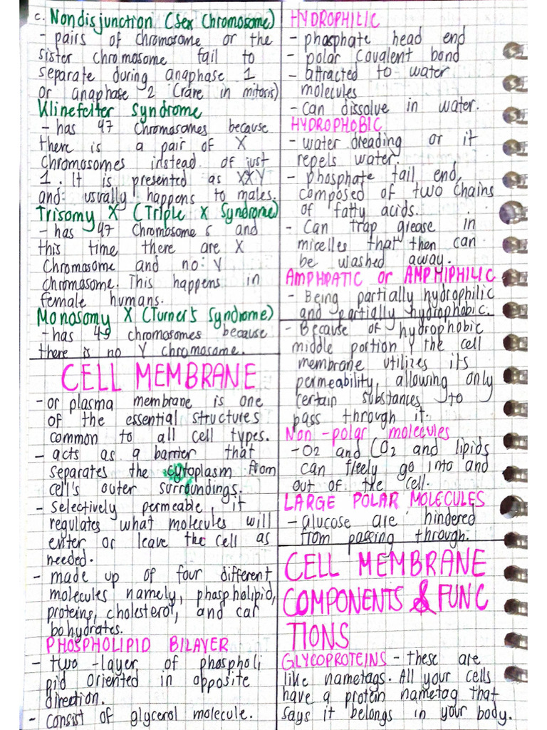 Notes For ST 3 | PDF