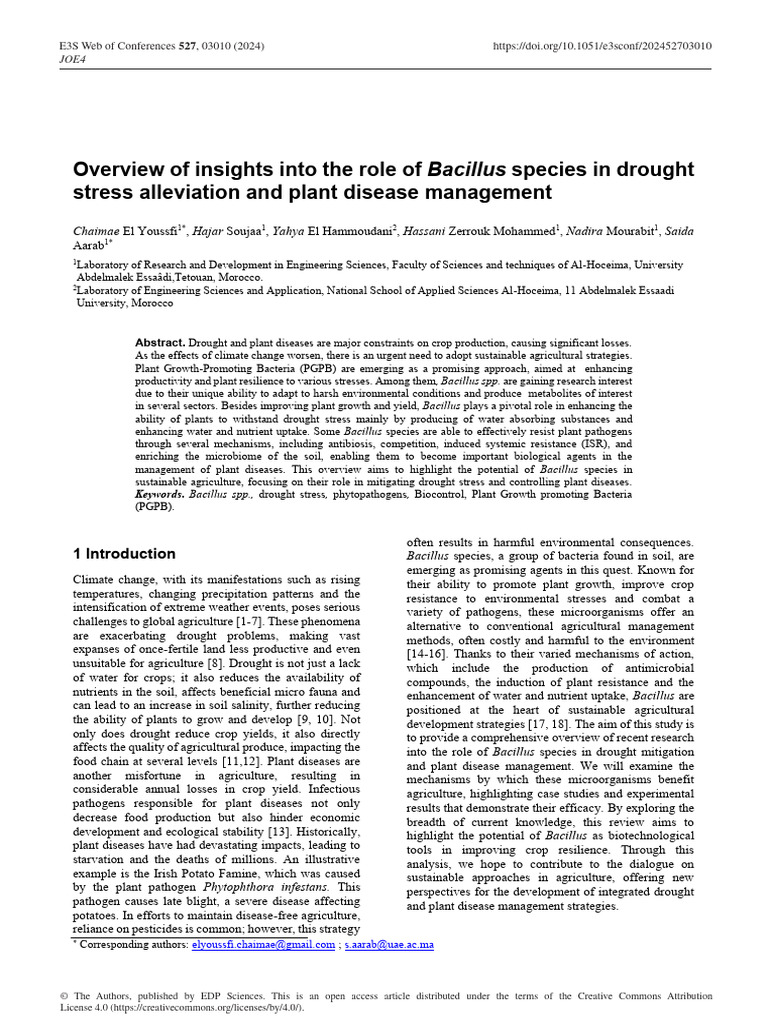 Overview of insights into the role of bacillus species in drought pdf