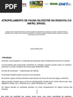 Atropelamento de Fauna Silvestre na Rodovia BR 319 AM/RO