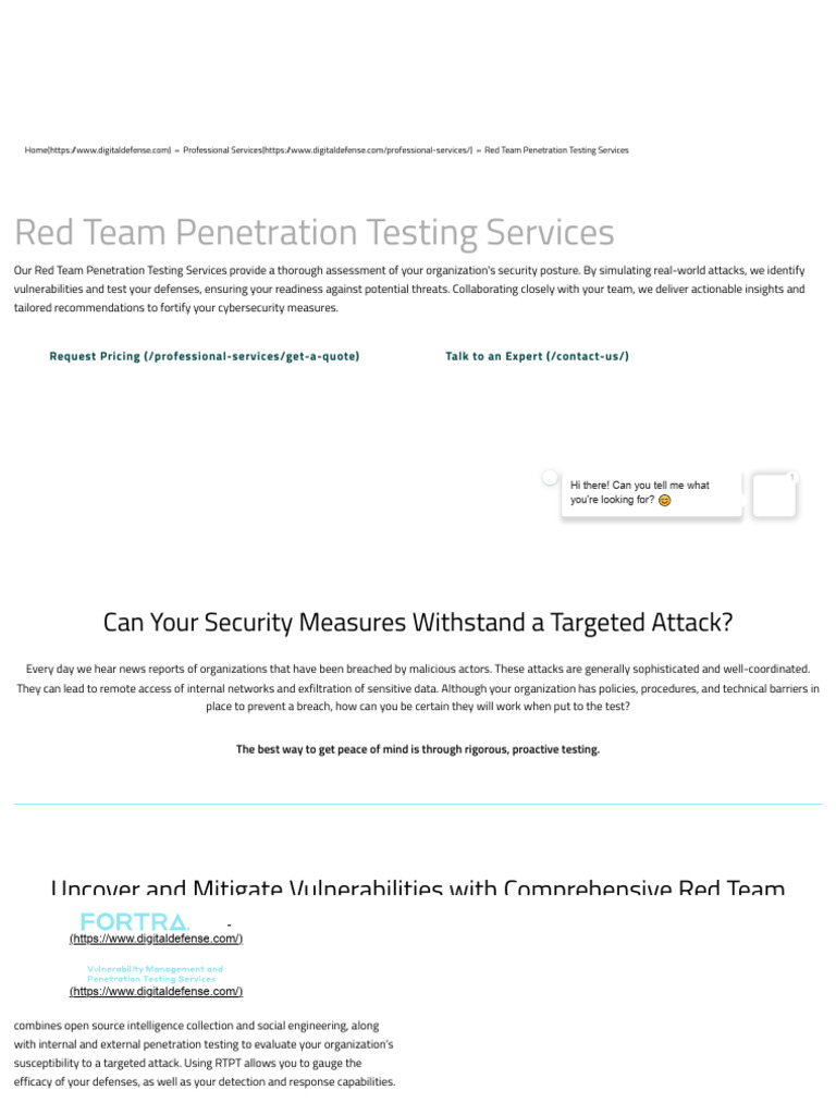 Red Team Penetration Testing Services | PDF | Penetration Test | Security