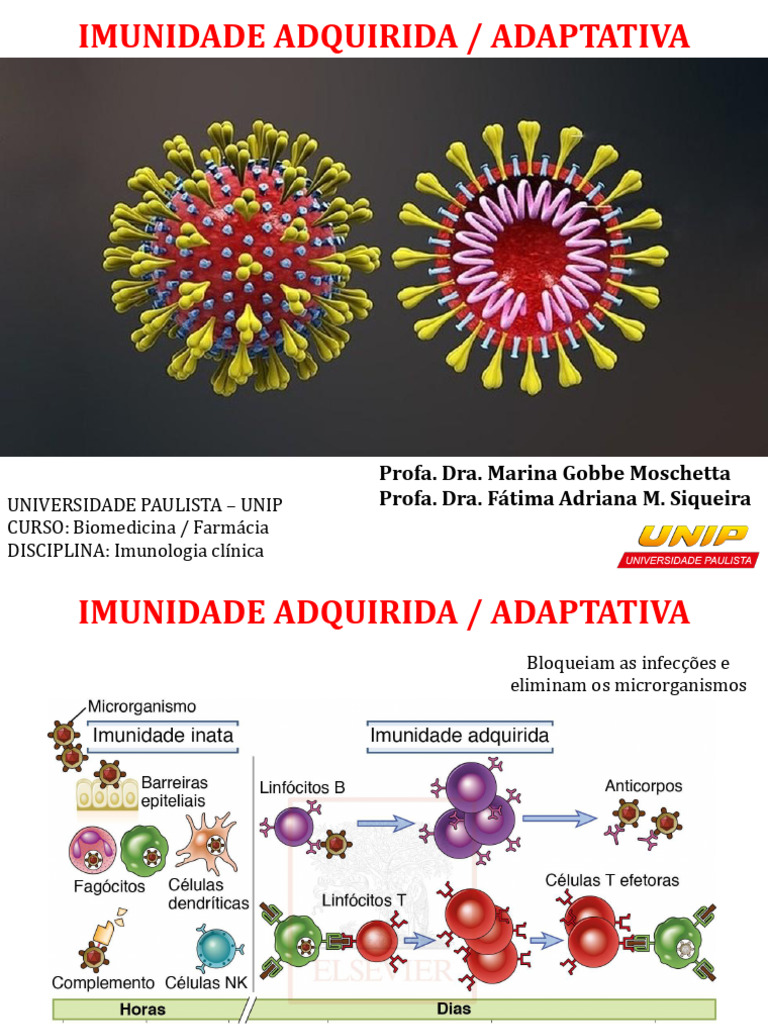 Aula 3 - Imunidade ADQUIRIDA Farmacia 2022 | PDF | Célula T | Sistema ...