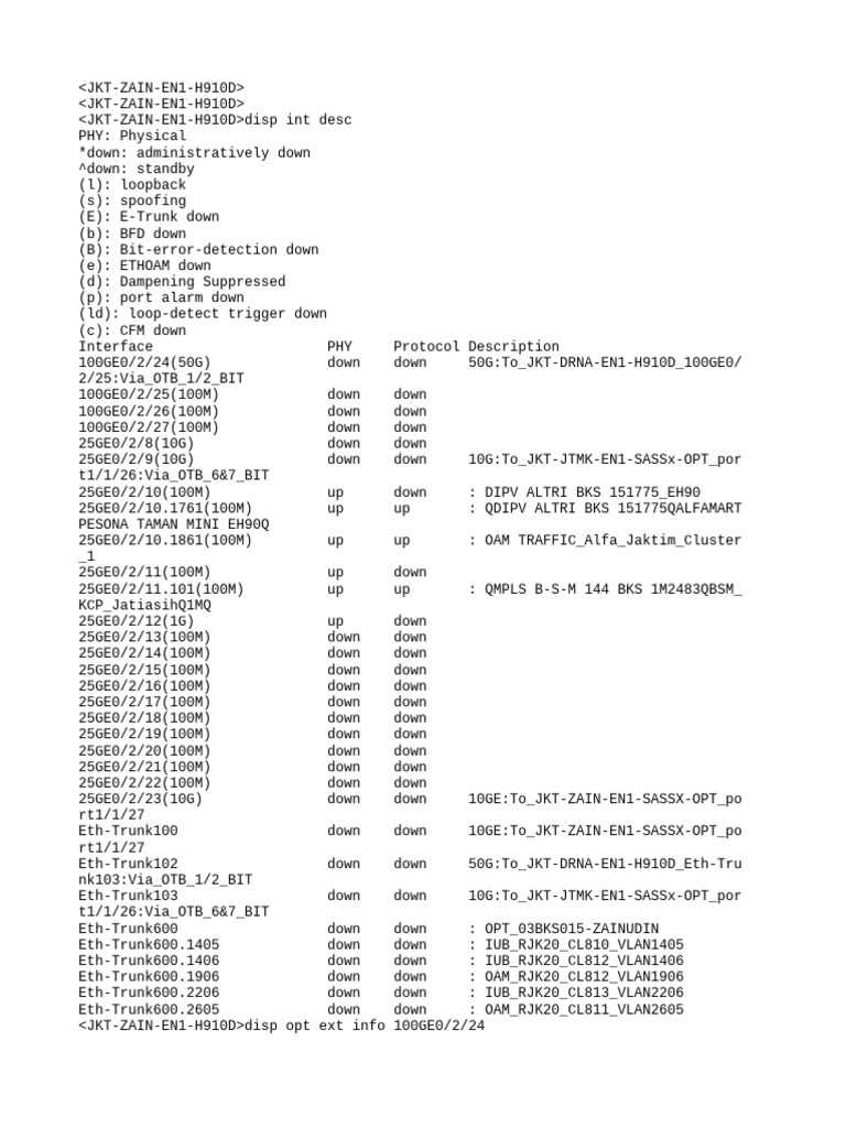 Interface Status and Diagnostic Report | PDF | Network Packet | Multicast