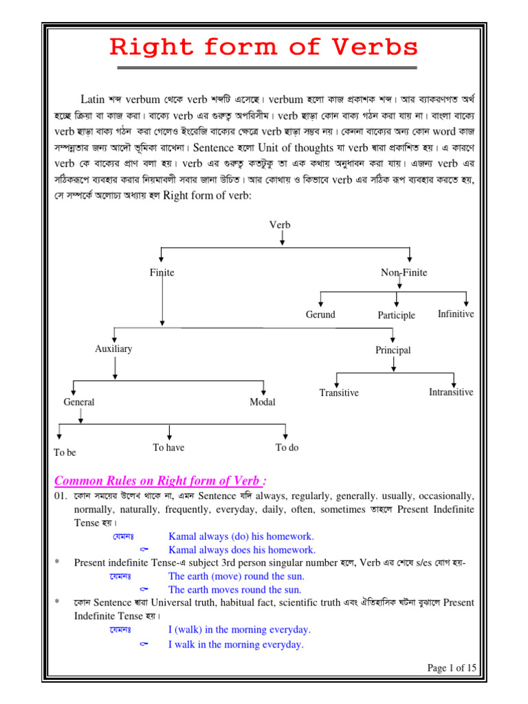 Right Form Of Verbs Pdf Verb Grammatical Number