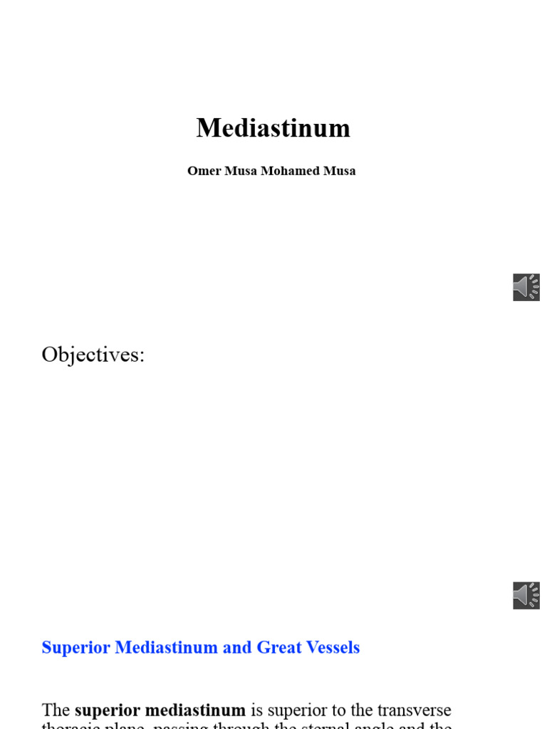 Mediastinum Recorded | PDF | Aorta | Common Carotid Artery