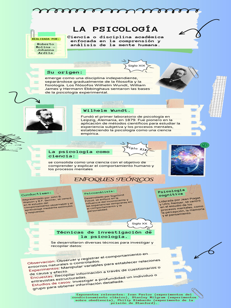 Infografía Psicología | PDF | Sicología | Gemelo