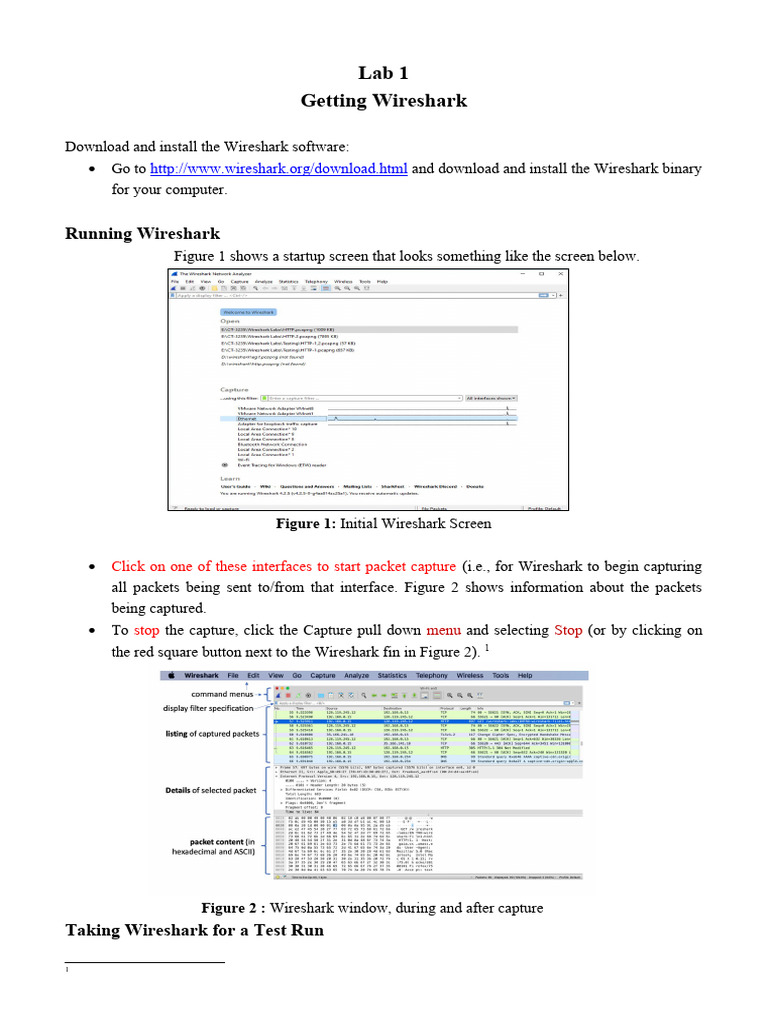 Wireshark Labs: HTTP and DNS Analysis | PDF | Domain Name System | Port ...