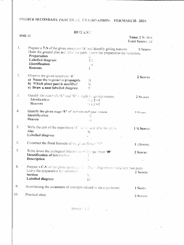 Kerala Plus Two Botany Practical Exam Question Paper 2020 | PDF