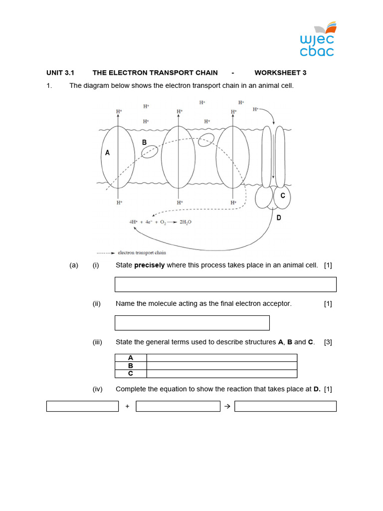 3 1 ATP Worksheet 3 PDF