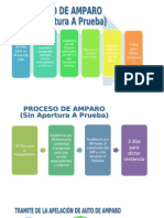 ESQUEMA Proceso de Amparo