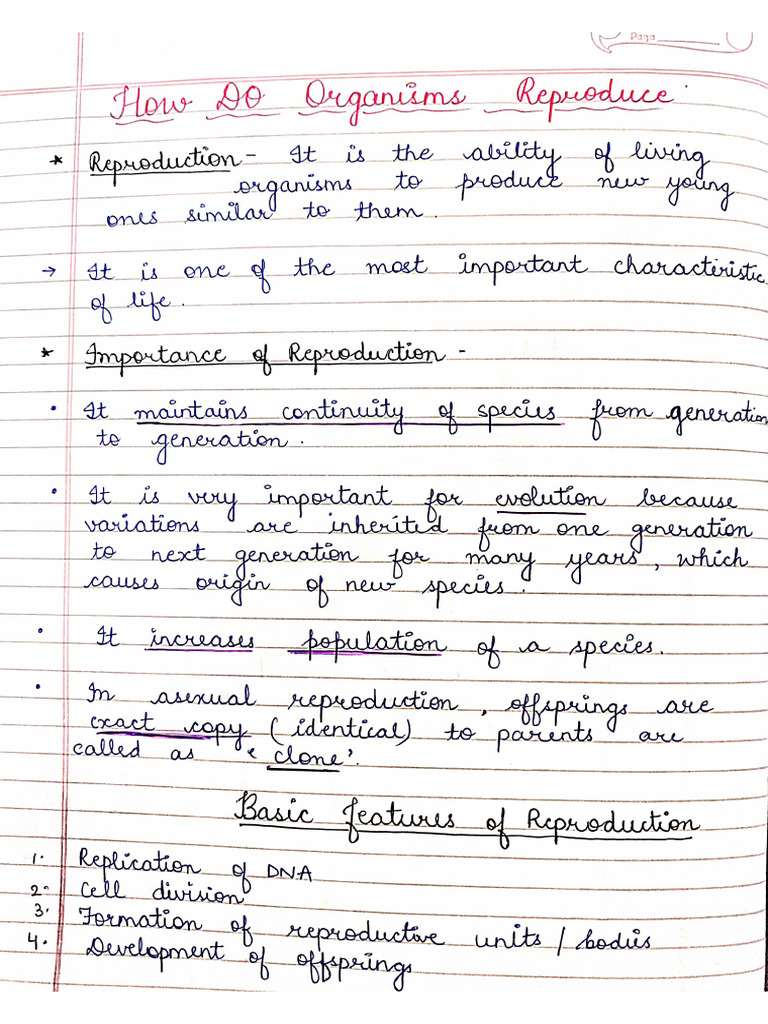 About Classroom visual data 4