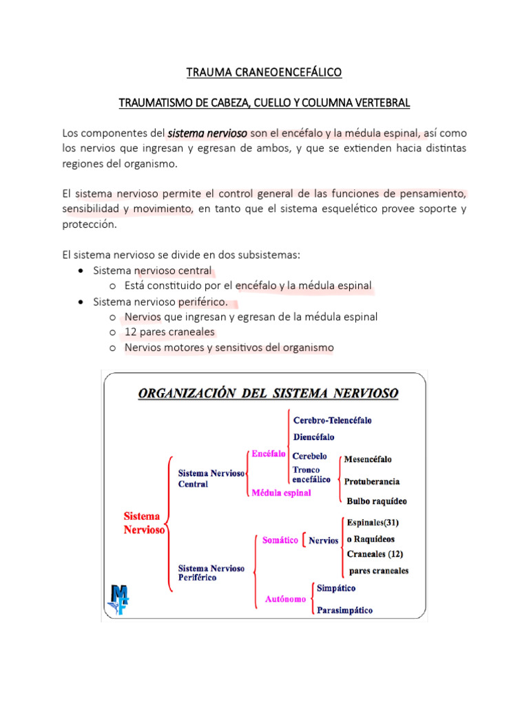 Tce Guia-1 | PDF | Fluido cerebroespinal | Lesión cerebral traumática