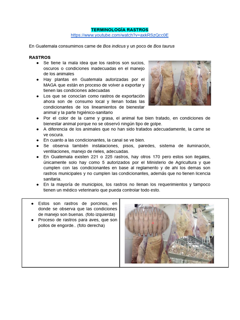 Terminología Rastros | PDF | Carne | Alimentos