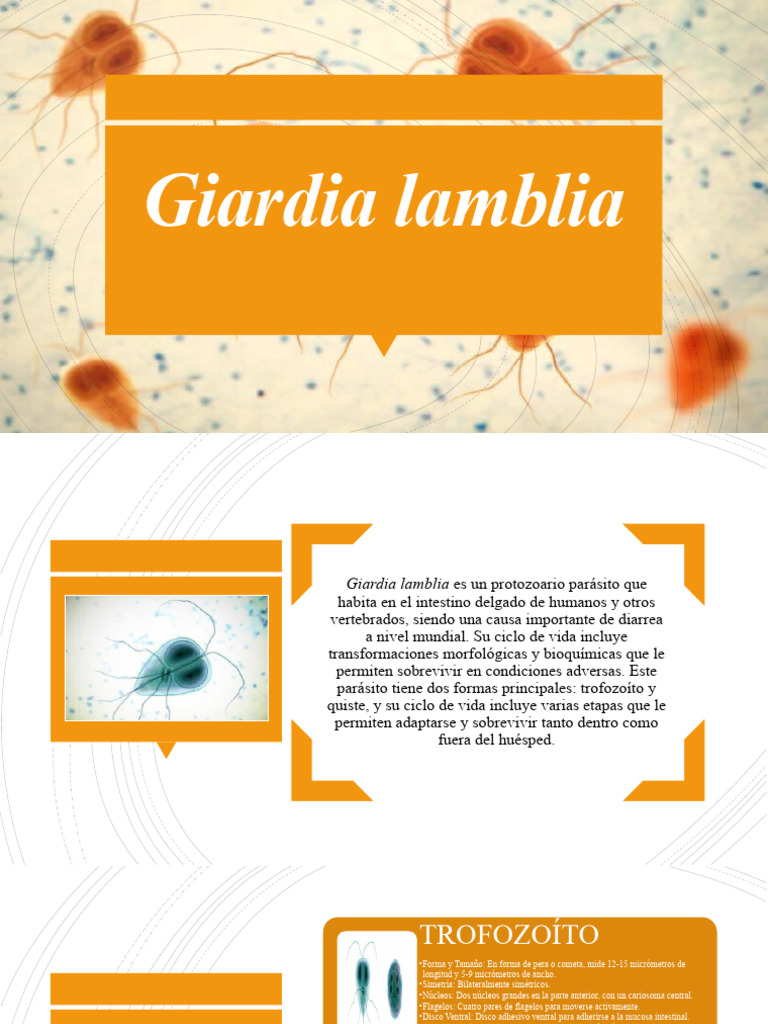 Giardia Lamblia | PDF | Microbiología | Especialidades Medicas