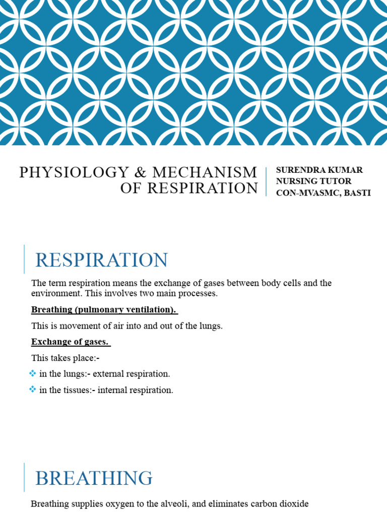 Physiology of Respiration Explained | PDF | Respiratory System | Breathing