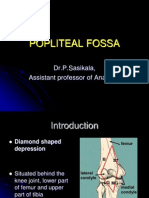 Popliteal Fossa: Dr.P.Sasikala, Assistant Professor of Anatomy