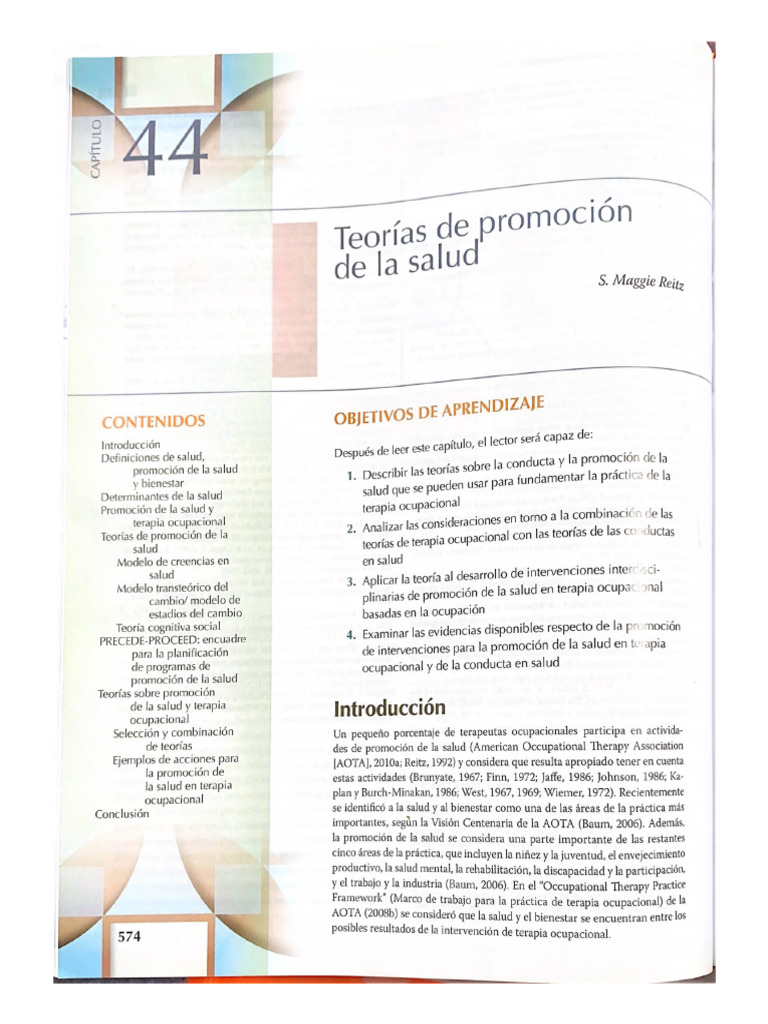 5.1 Teorías de Promoción | PDF